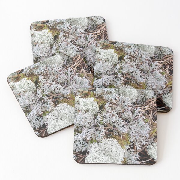 Item preview, Moss invites you to adventure into a fantasy world designed and sold by Raigitam.