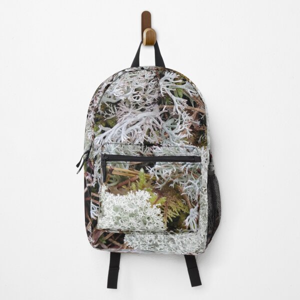 Item preview, Moss invites you to adventure into a fantasy world designed and sold by Raigitam.
