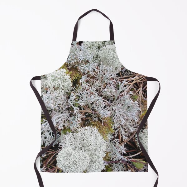 Item preview, Moss invites you to adventure into a fantasy world designed and sold by Raigitam.