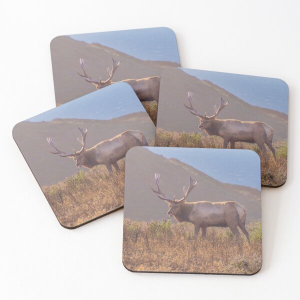 Item preview, Male Tule Elk, Antlers, Eating Flowers, California designed and sold by SafariByMarisa.