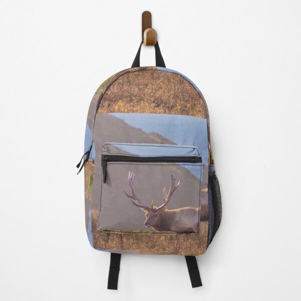 Item preview, Male Tule Elk, Antlers, Eating Flowers, California designed and sold by SafariByMarisa.