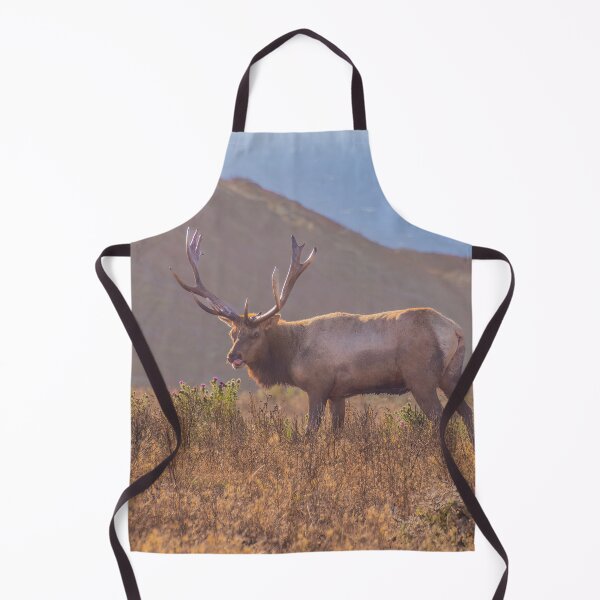 Item preview, Male Tule Elk, Antlers, Eating Flowers, California designed and sold by SafariByMarisa.