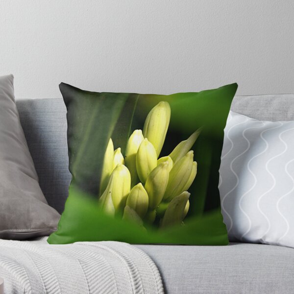 Item preview, Clivia.......about to burst into bloom.......!! designed and sold by Roy  Massicks.