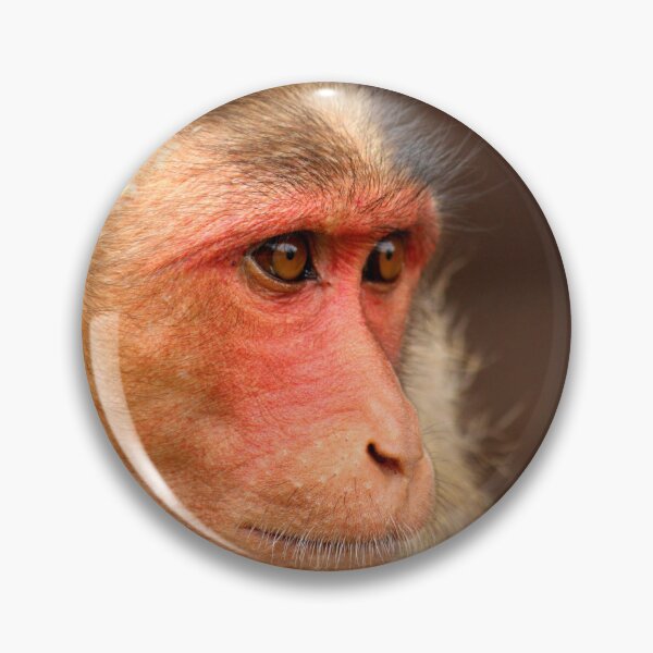 Item preview, Bonnet Macaque Monkey designed and sold by VgBingi.