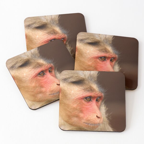 Item preview, Bonnet Macaque Monkey designed and sold by VgBingi.