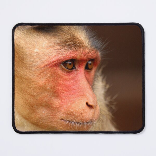 Item preview, Bonnet Macaque Monkey designed and sold by VgBingi.