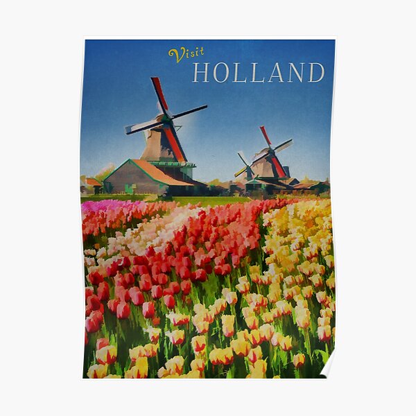 Holland Windmills and Tulips Poster