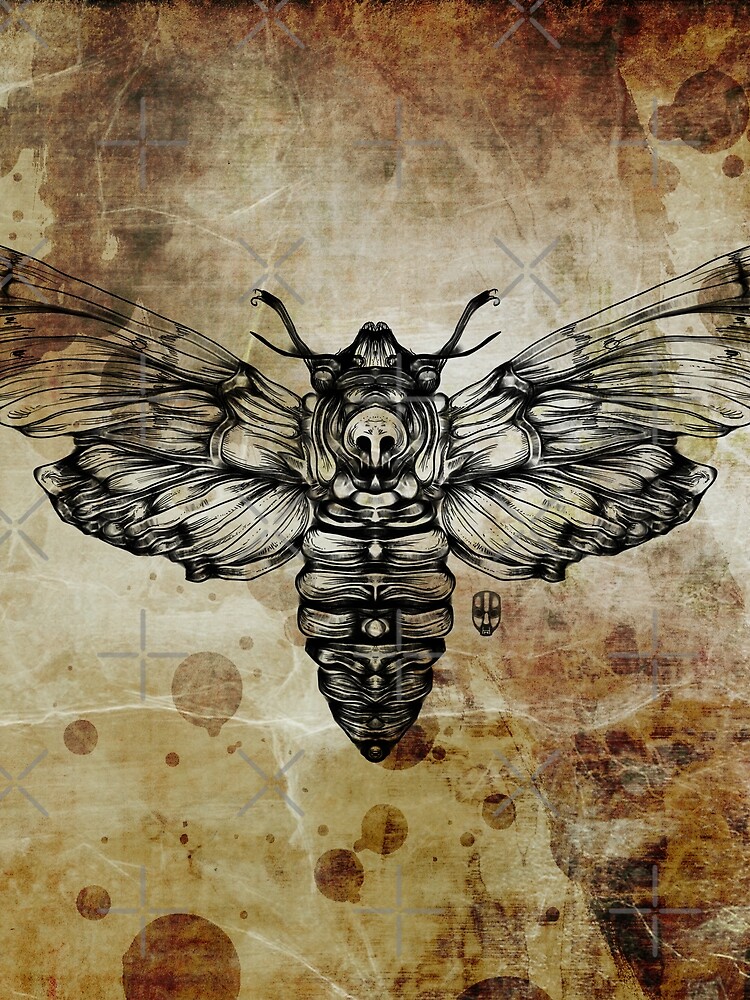 Moth by fakeface