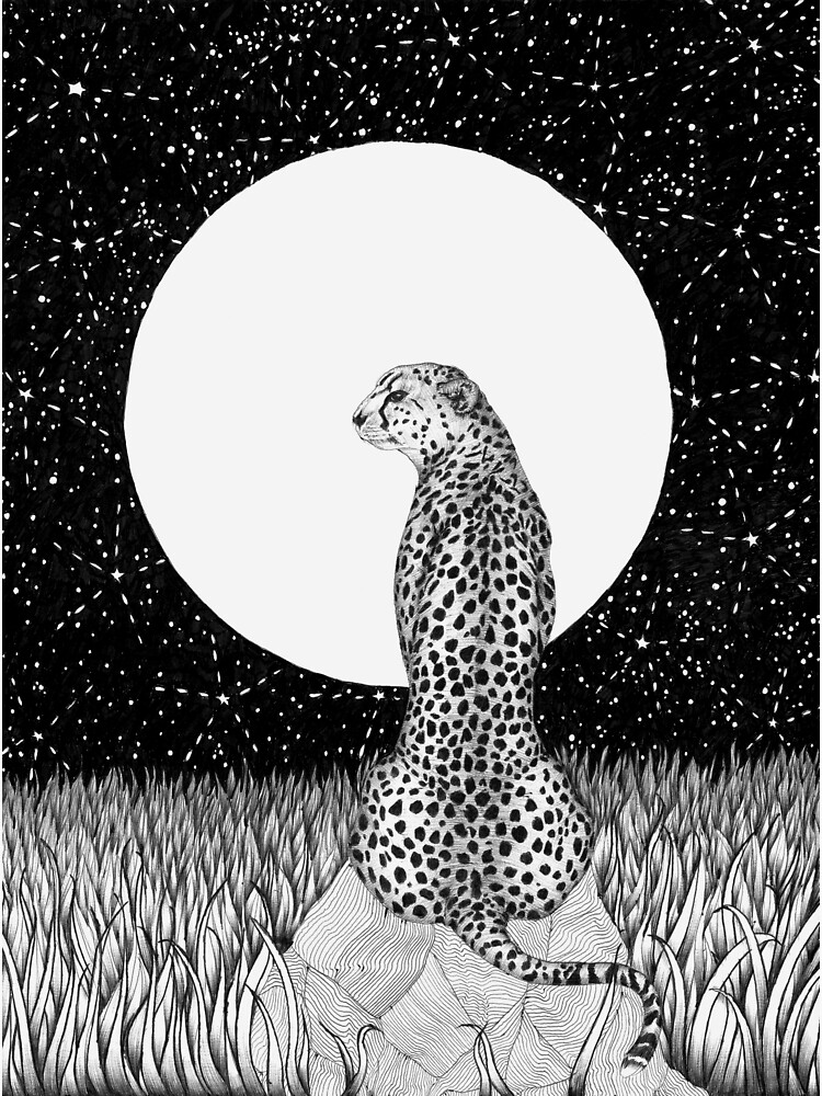 Cheetah Moon by ECMazur