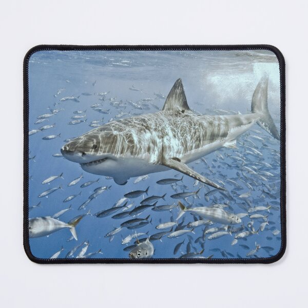 Item preview, Afternoon Frolic designed and sold by terry goss.