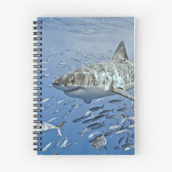 Item preview, Afternoon Frolic designed and sold by terry goss.
