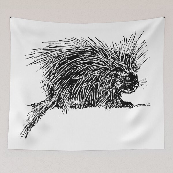 Item preview, black and white porcupine designed and sold by michplante60.