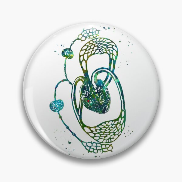 Item preview, Cardiovascular and Lymphatic Circulatory System designed and sold by EvasDreams.
