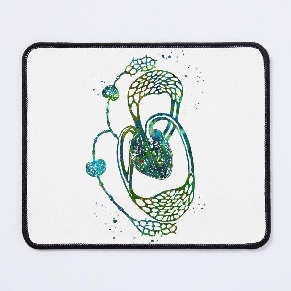 Item preview, Cardiovascular and Lymphatic Circulatory System designed and sold by EvasDreams.