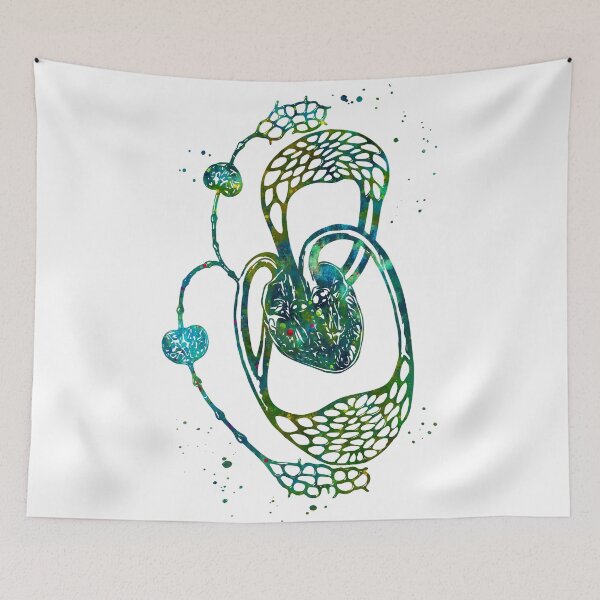 Item preview, Cardiovascular and Lymphatic Circulatory System designed and sold by EvasDreams.