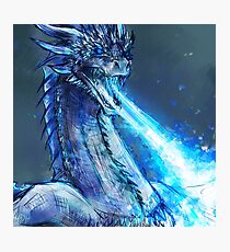 Ice dragon Photographic Print