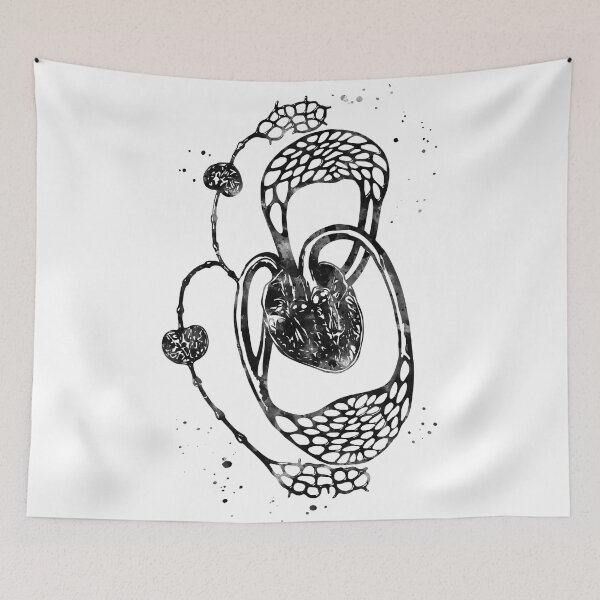 Item preview, Cardiovascular and Lymphatic Circulatory System designed and sold by EvasDreams.