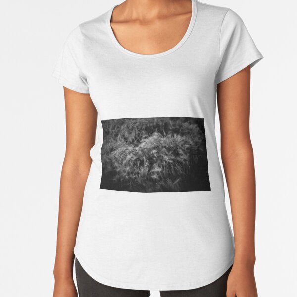 Foxtail Premium Scoop T-Shirt