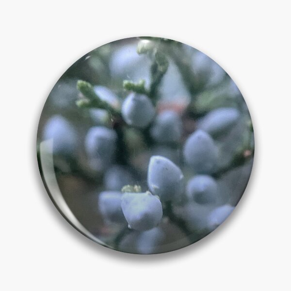 Item preview, Juniper designed and sold by Jason Tompkins.