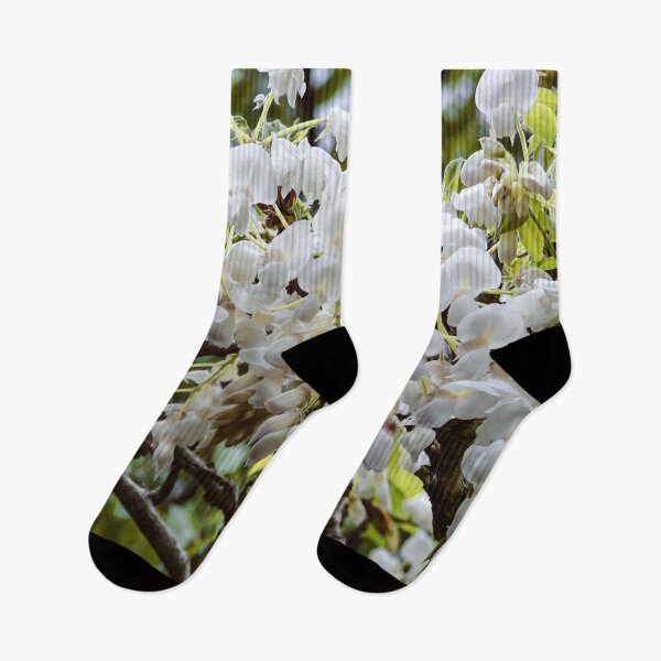Item preview, Beautiful Shinjuku Park National Garden Flower Tokyo Japan designed and sold by XIX361ART.