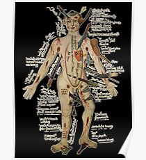 The Many Lives of the Medieval Wound Man - 16th centuries Poster