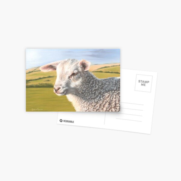 Lamb Postcard