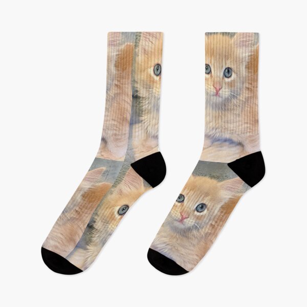 Item preview, Cute ginger tiger striped ragdoll Maine coon kitten designed and sold by Fluffycat2020.
