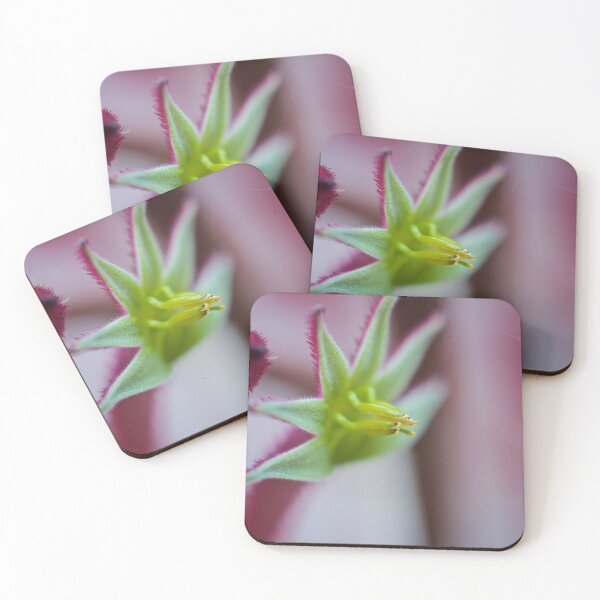Item preview, Kangaroo Paw designed and sold by D-GaP.