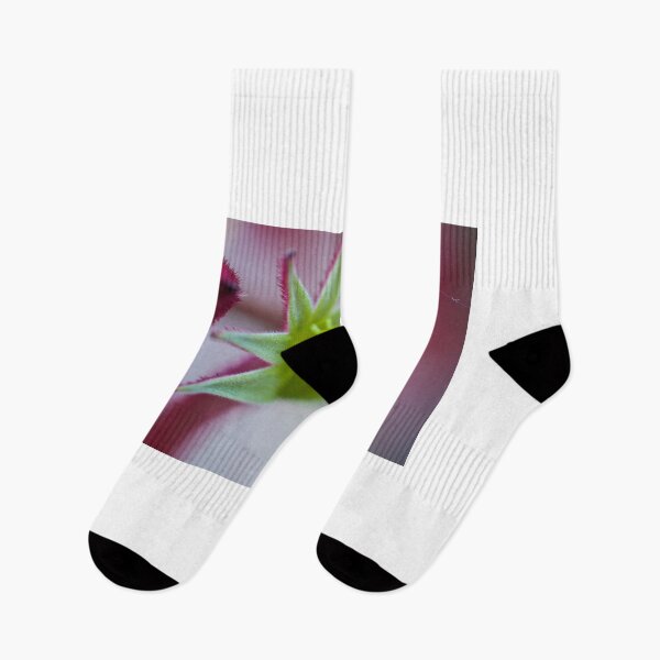 Item preview, Kangaroo Paw designed and sold by D-GaP.