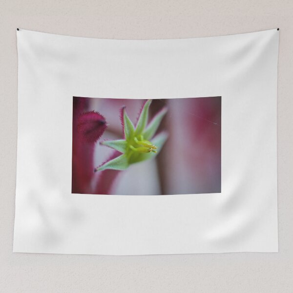 Item preview, Kangaroo Paw designed and sold by D-GaP.