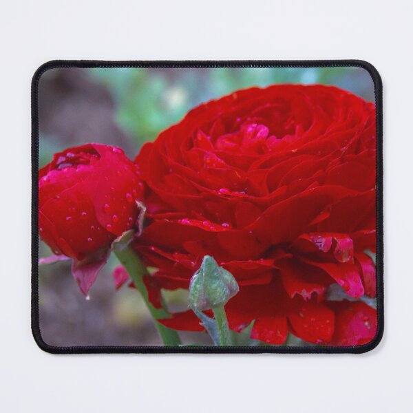 Item preview, Early Springtime Red Blossoming Flowers designed and sold by Steven Jodoin.