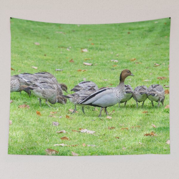 Item preview, Australian Wood Ducks Enjoying a walk in the park designed and sold by Steven Jodoin.