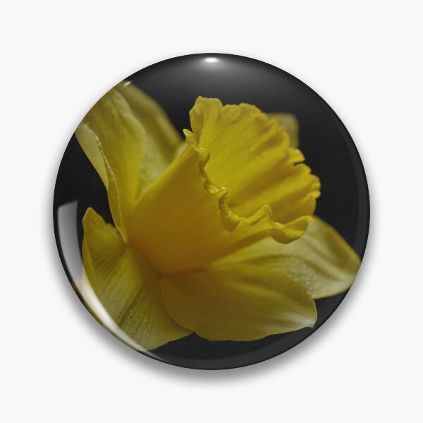 Item preview, Springtime Dafodil in Full Bloom designed and sold by Steven Jodoin.