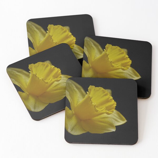Item preview, Springtime Dafodil in Full Bloom designed and sold by Steven Jodoin.