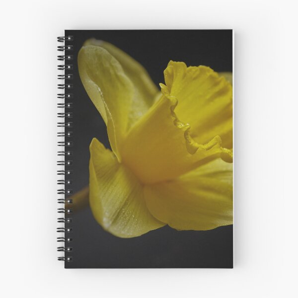 Item preview, Springtime Dafodil in Full Bloom designed and sold by Steven Jodoin.