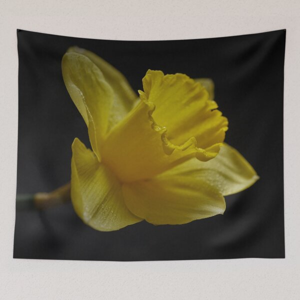 Item preview, Springtime Dafodil in Full Bloom designed and sold by Steven Jodoin.