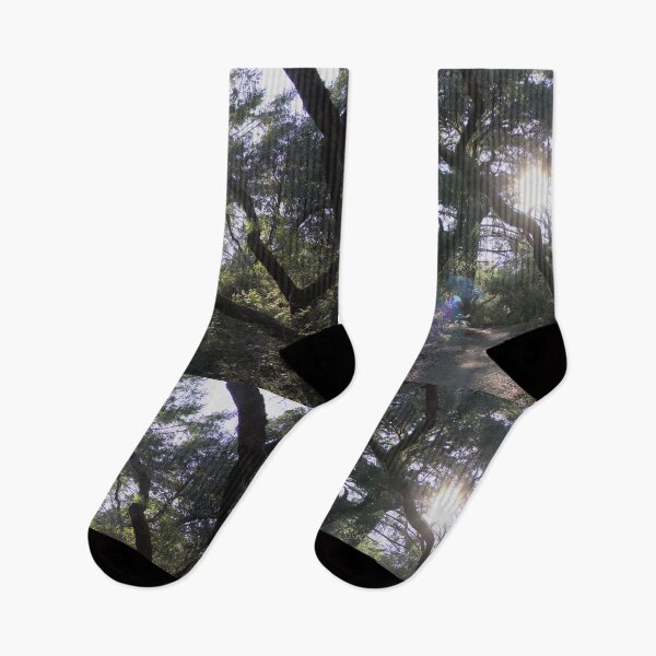 Item preview, Green Enchanted Mossy Forest Branches - Nature Aesthetic Photography designed and sold by Lucidesigns.