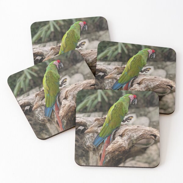 Item preview, Great Green Macaw designed and sold by GnarlyDingus.