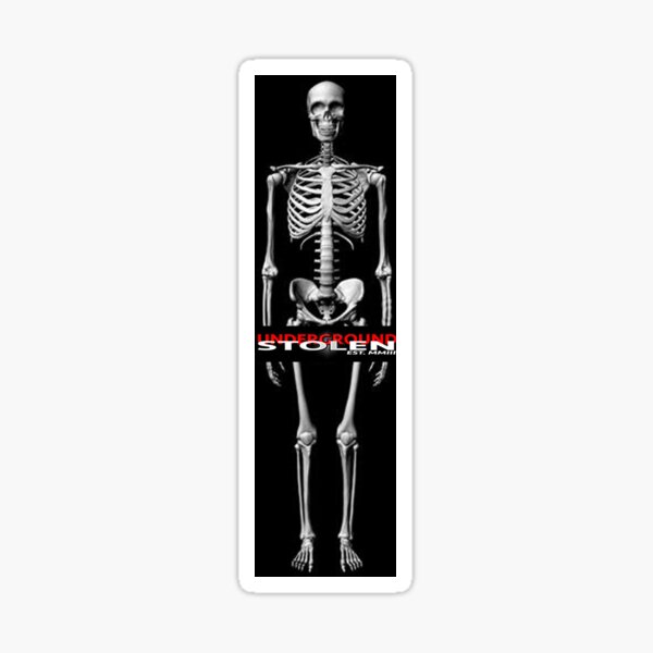 THE D3AD RAC3R UNIFORM Sticker