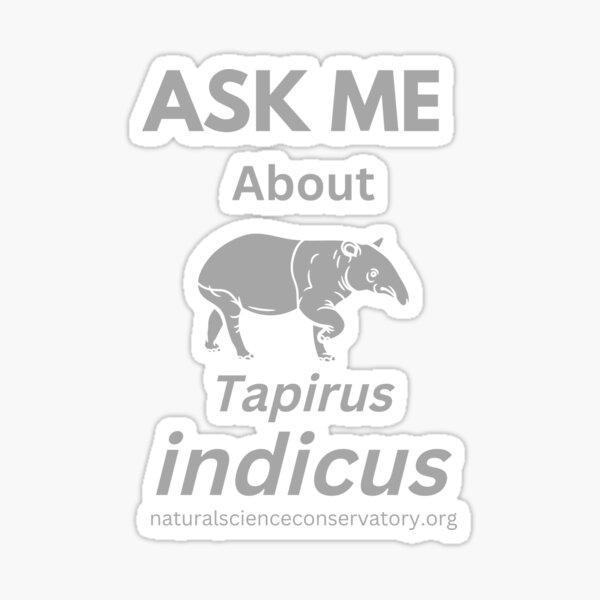 Vista previa del artículo con la obra «Pregúntame acerca de Tapirus indicus (tapir malayo)», diseñado y vendido por Discovered.