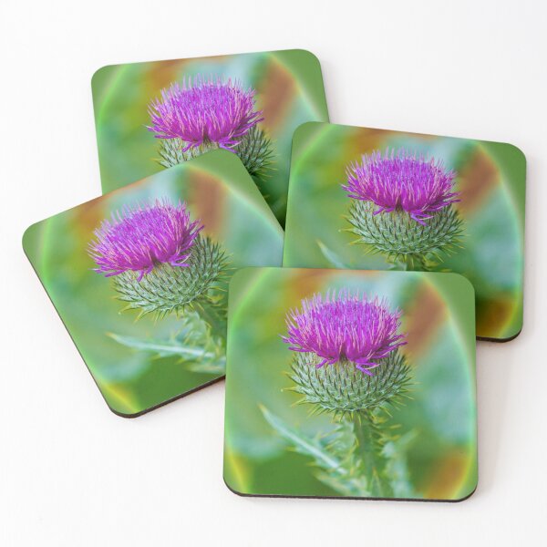Item preview, Milk thistle flowerhead designed and sold by Dalyndigital Photography.