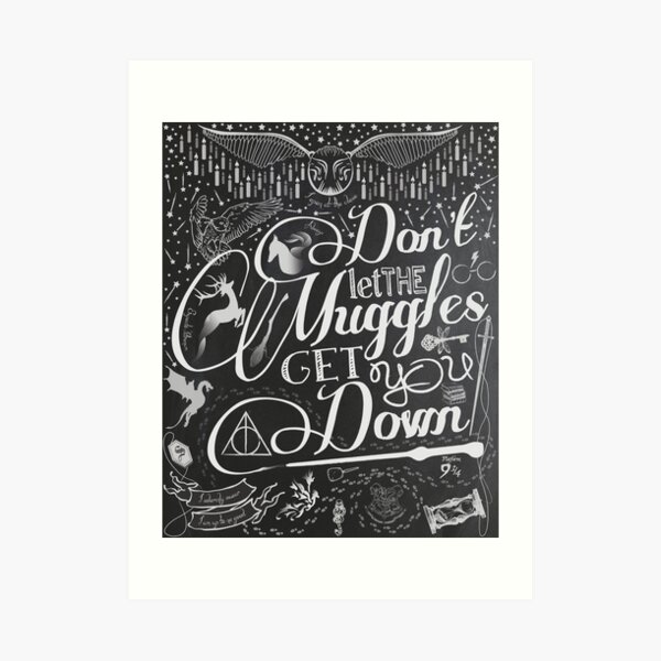 Don't let the Muggles get you down Art Print
