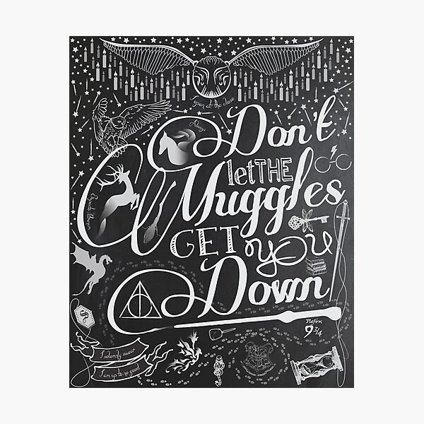Don't let the Muggles get you down Photographic Print