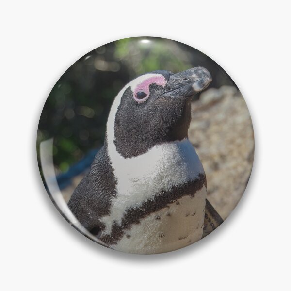 Item preview, South African Cape Penguin at Boulders Beach designed and sold by SafariByMarisa.