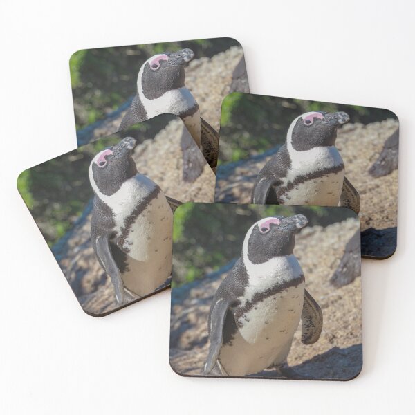 Item preview, South African Cape Penguin at Boulders Beach designed and sold by SafariByMarisa.