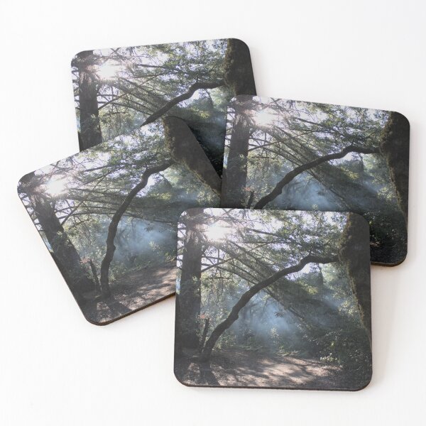 Item preview, Enchanting Forest, Smoky Sun Rays - Nature Aesthetic Photography, Blue Green Mystical Trees designed and sold by Lucidesigns.