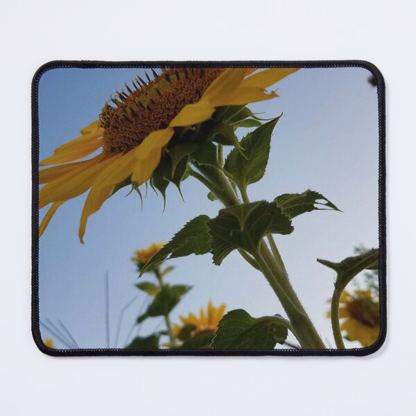 Item preview, Sunflower designed and sold by MinaBohl.