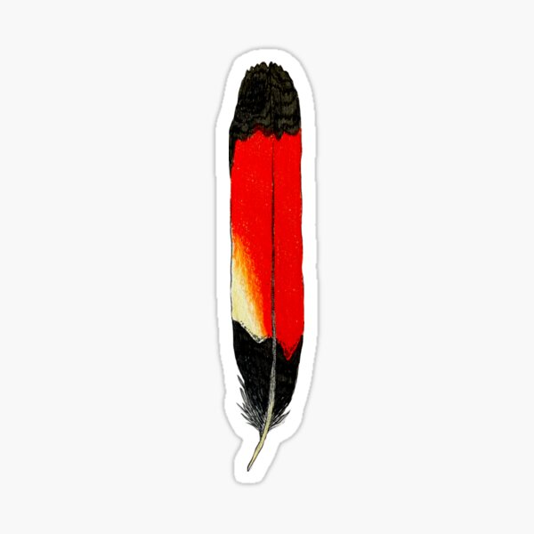 Item preview, Red Tailed Black Cockatoo Feather Male designed and sold by Lily Tomkinson.
