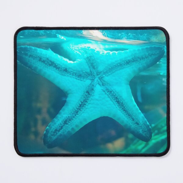 Item preview, Starfish designed and sold by MinaBohl.
