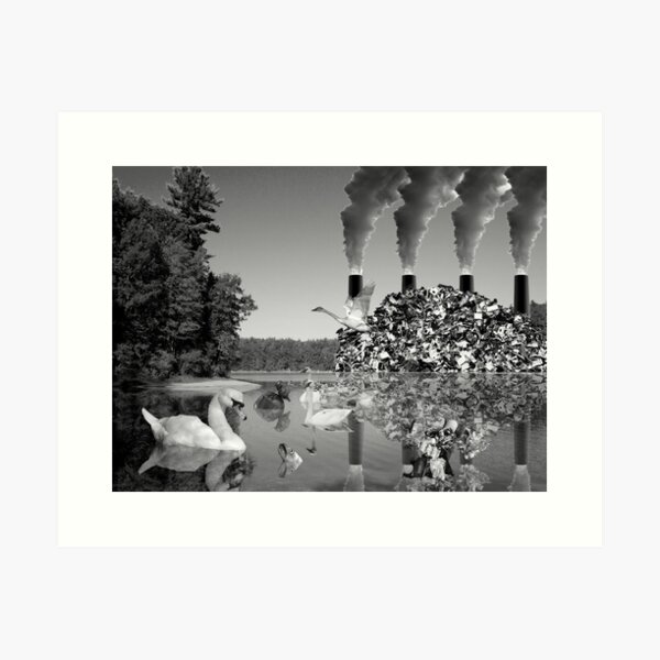 In Your Own Backyard Art Print